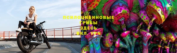 скорость Алексин