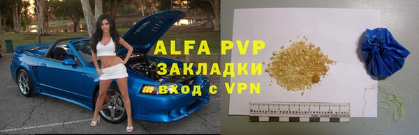 шишки Арсеньев