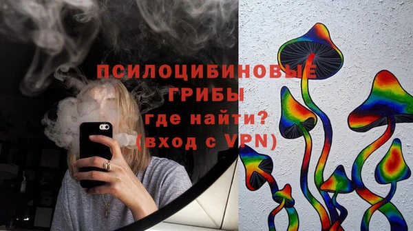 соль ск Алзамай