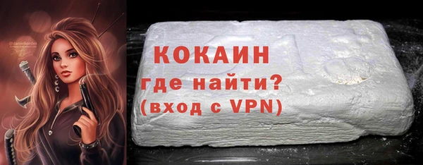 соль ск Алзамай